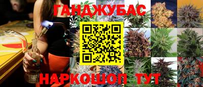 дживик Донской