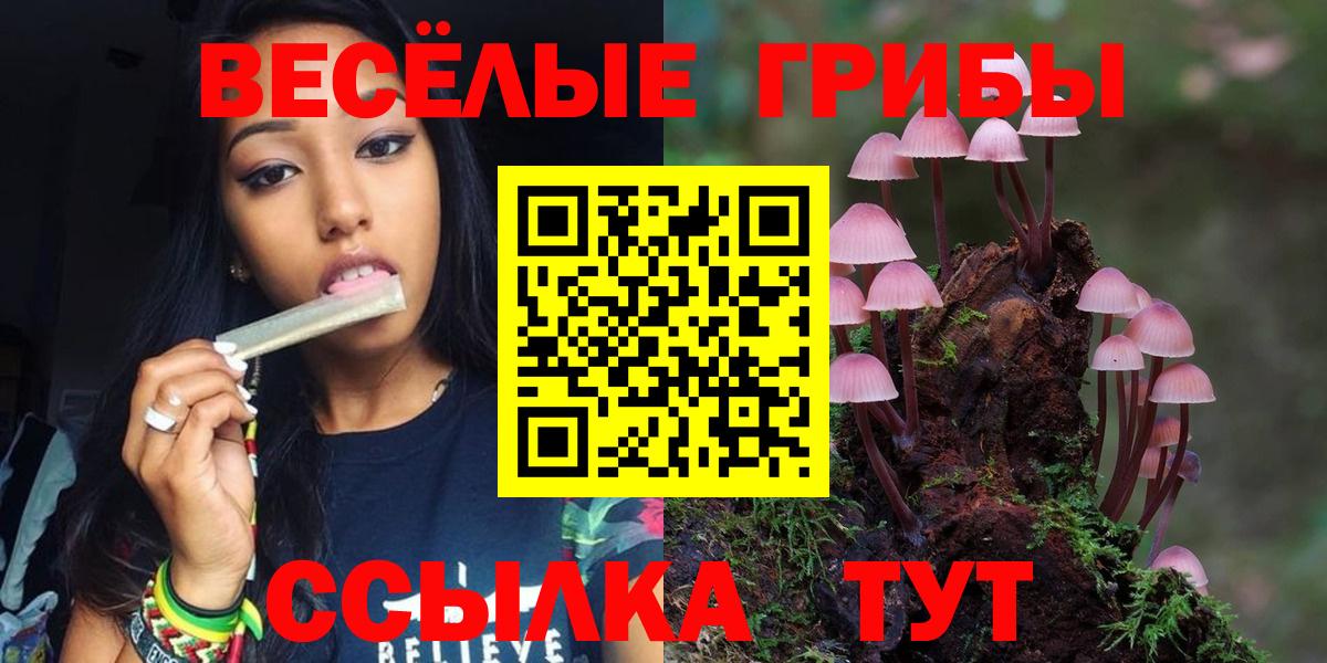 Галлюциногенные грибы Cubensis Дятьково